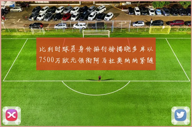 比利时球员身价排行榜揭晓多库以7500万欧元领衔阿马杜奥纳纳紧随其后