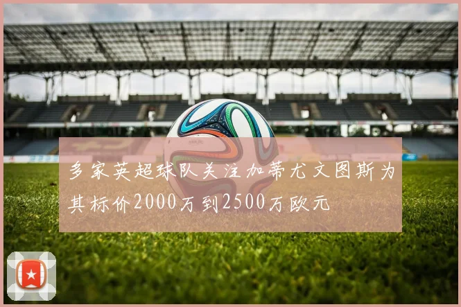 多家英超球队关注加蒂尤文图斯为其标价2000万到2500万欧元